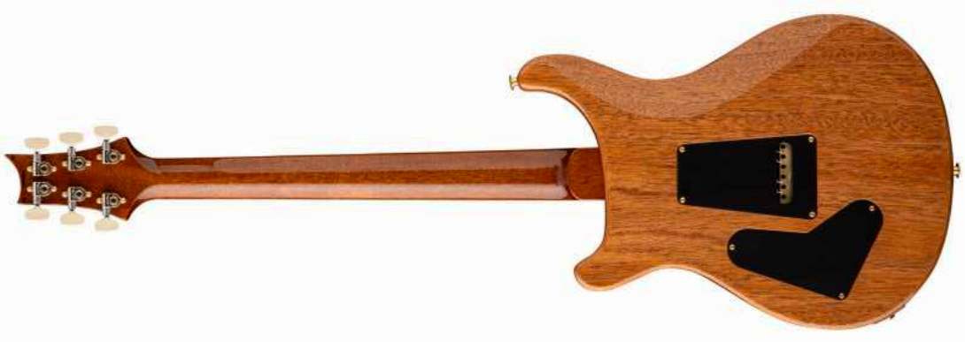 Prs Custom 24 Usa 2h Dmo Trem Rw - Tiger Eye - Guitarra eléctrica de doble corte - Variation 2