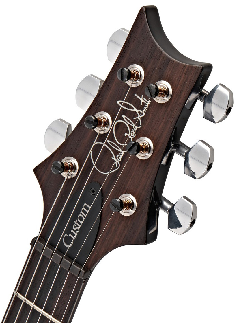 Prs Custom 24 Usa 2h Trem Rw - Eriza Verde - Guitarra eléctrica de doble corte - Variation 5