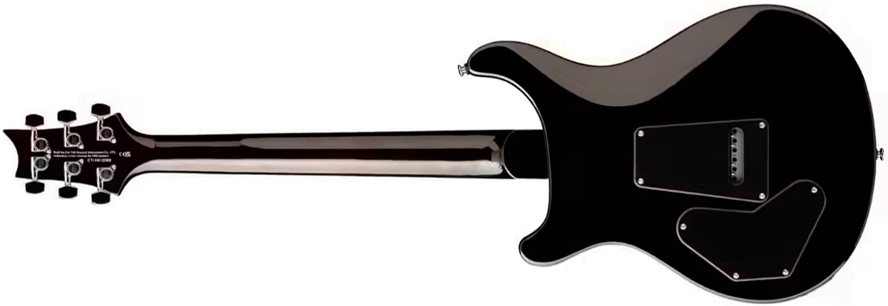 Prs David Grissom Dgt Se Signature 2h Trem Rw - Gold Top Moon Inlays - Guitarra eléctrica de doble corte - Variation 1