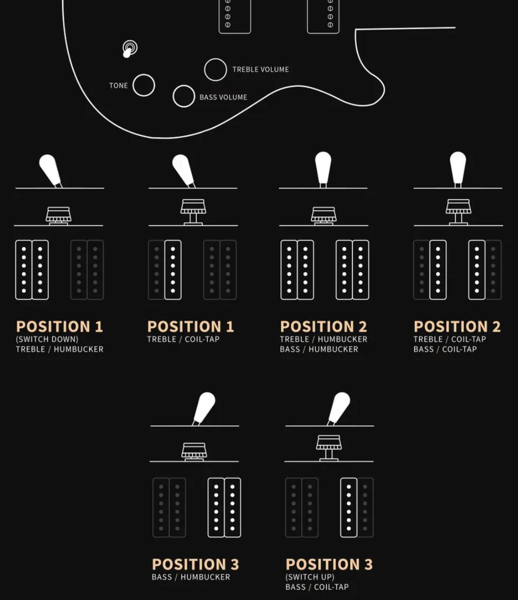 Prs David Grissom Dgt Se Signature 2h Trem Rw - Gold Top Moon Inlays - Guitarra eléctrica de doble corte - Variation 3