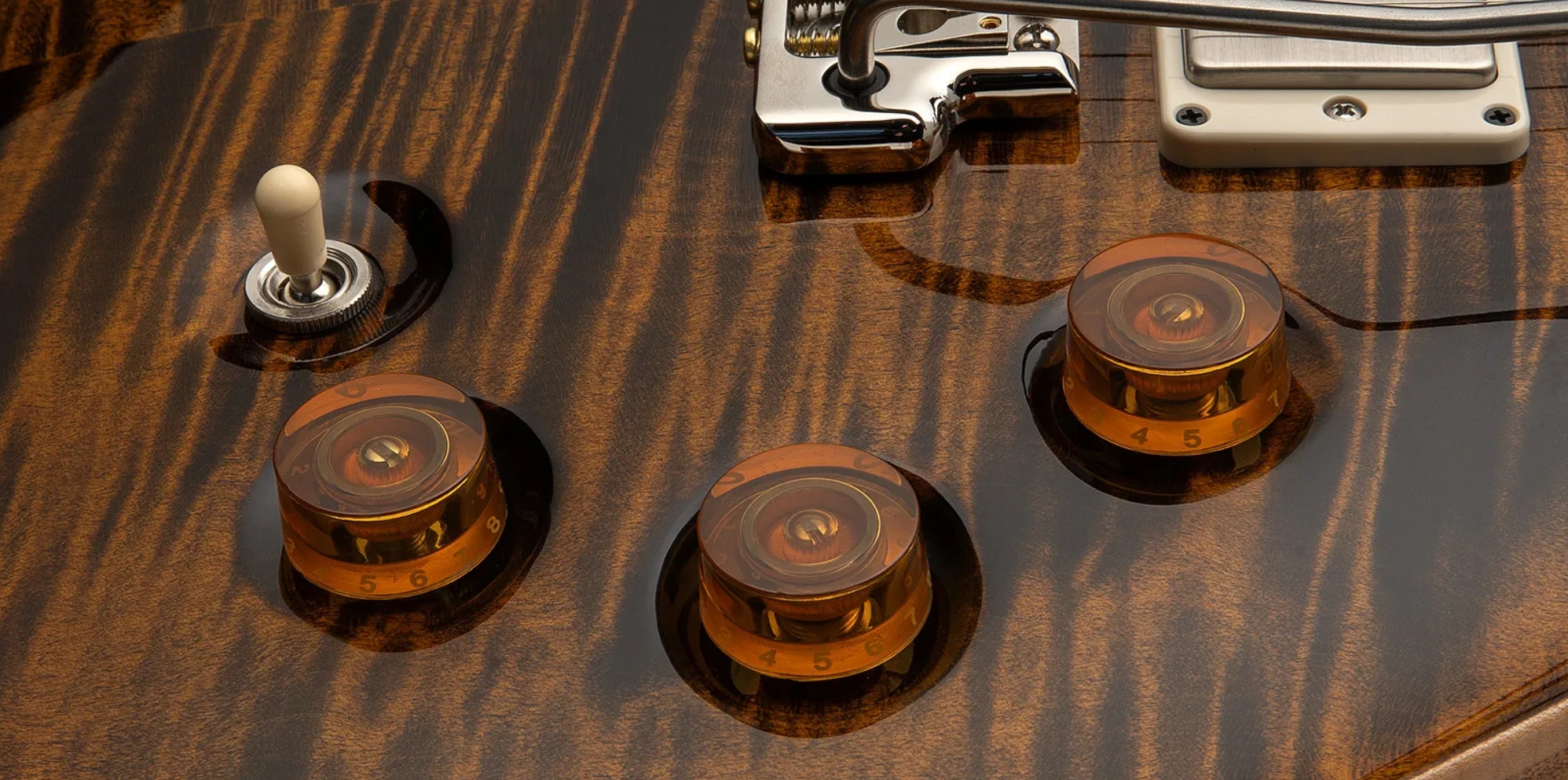 Prs David Grissom Dgt Usa Signature 2h Trem Rw - Tiger Eye - Guitarra eléctrica de doble corte - Variation 3