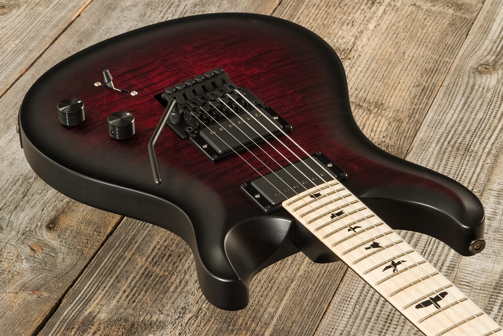 Prs Dustie Waring Dw Ce 24 Floyd Bolt-on Usa Signature 2h Fr Mn - Waring Smokeburst - Guitarra eléctrica de doble corte - Variation 2