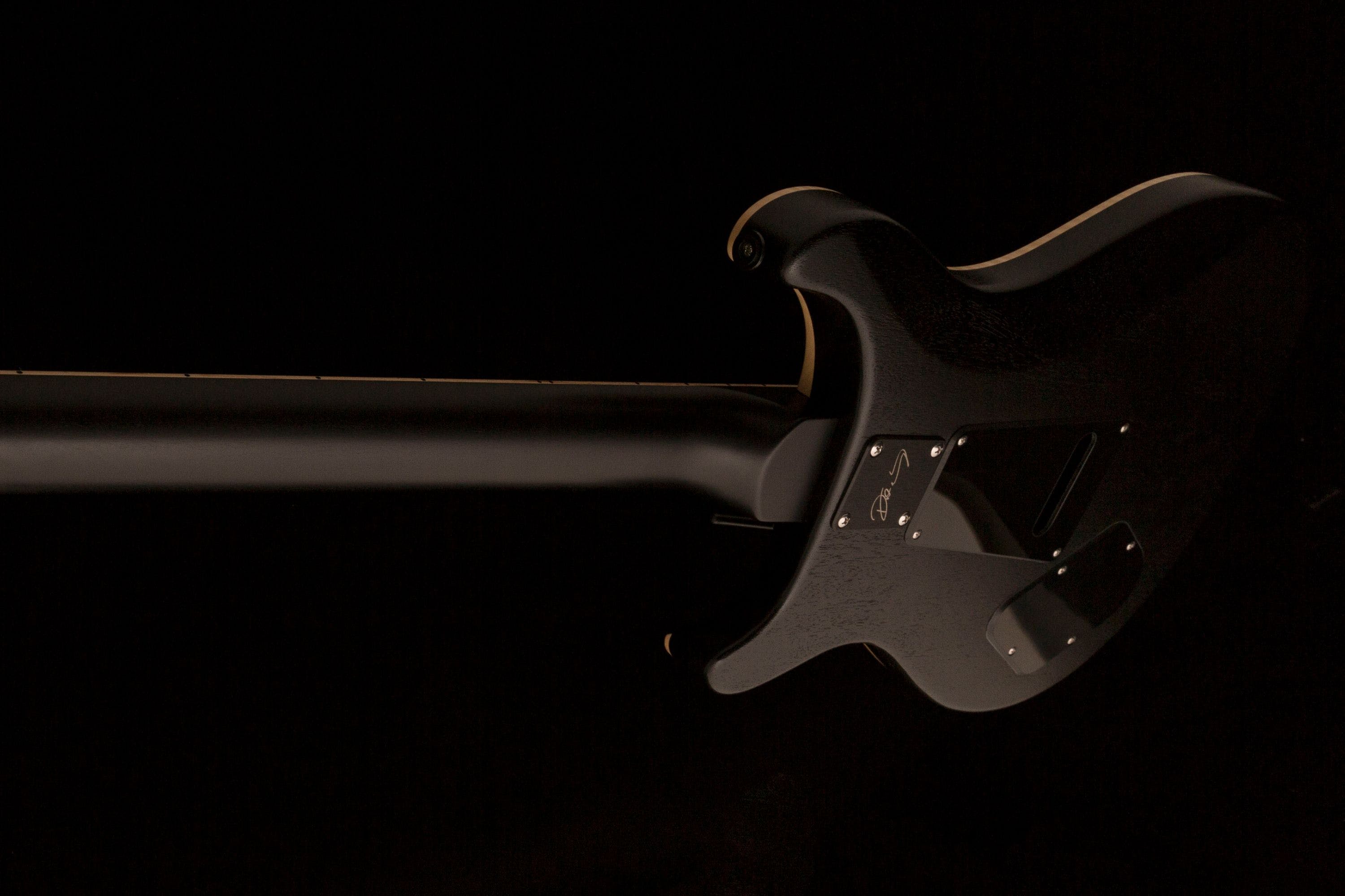 Prs Dustie Waring Dw Ce 24 Floyd Bolt-on Usa Signature 2h Fr Mn - Waring Burst - Guitarra eléctrica de doble corte - Variation 3