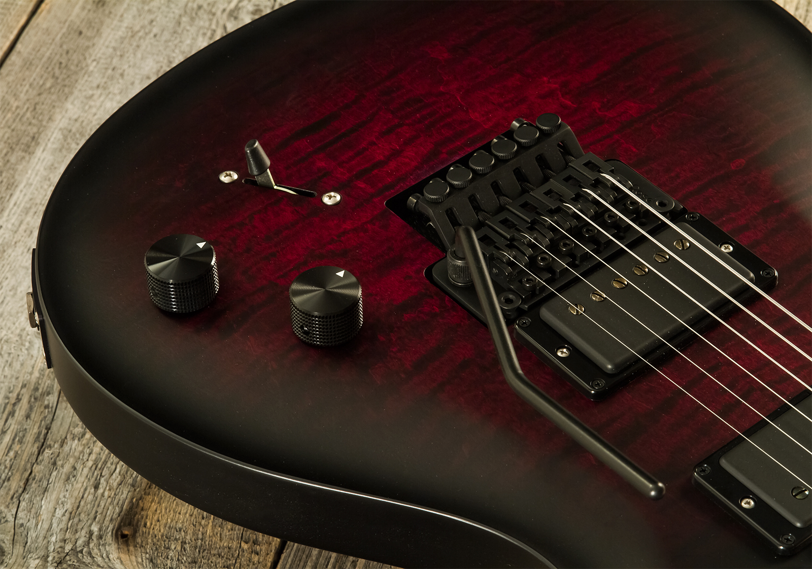 Prs Dustie Waring Dw Ce 24 Floyd Bolt-on Usa Signature 2h Fr Mn - Waring Smokeburst - Guitarra eléctrica de doble corte - Variation 3