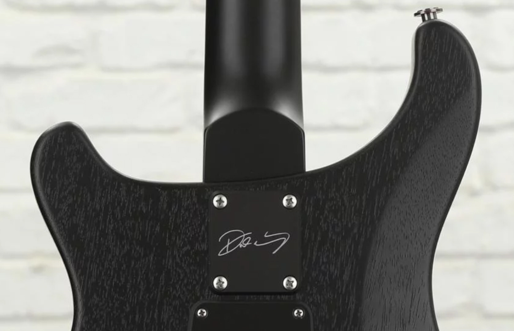 Prs Dustie Waring Dw Ce 24 Floyd Bolt-on Usa Signature 2h Fr Mn - Gray Black - Guitarra eléctrica de doble corte - Variation 4