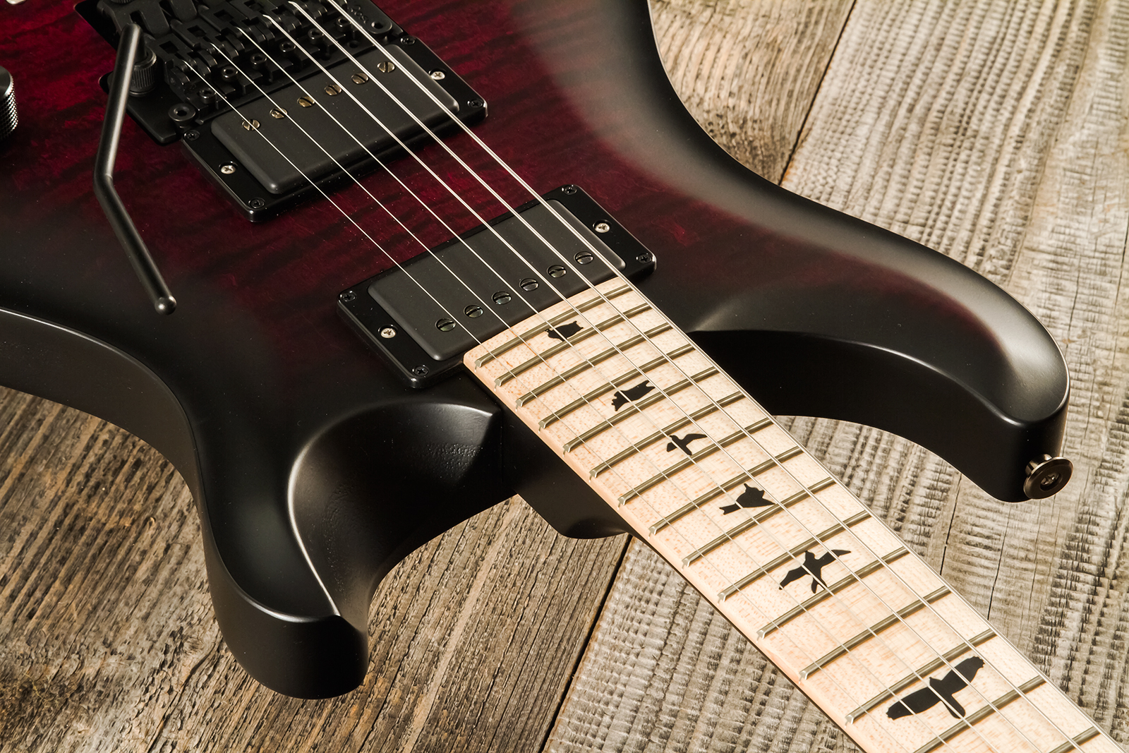 Prs Dustie Waring Dw Ce 24 Floyd Bolt-on Usa Signature 2h Fr Mn - Waring Smokeburst - Guitarra eléctrica de doble corte - Variation 4