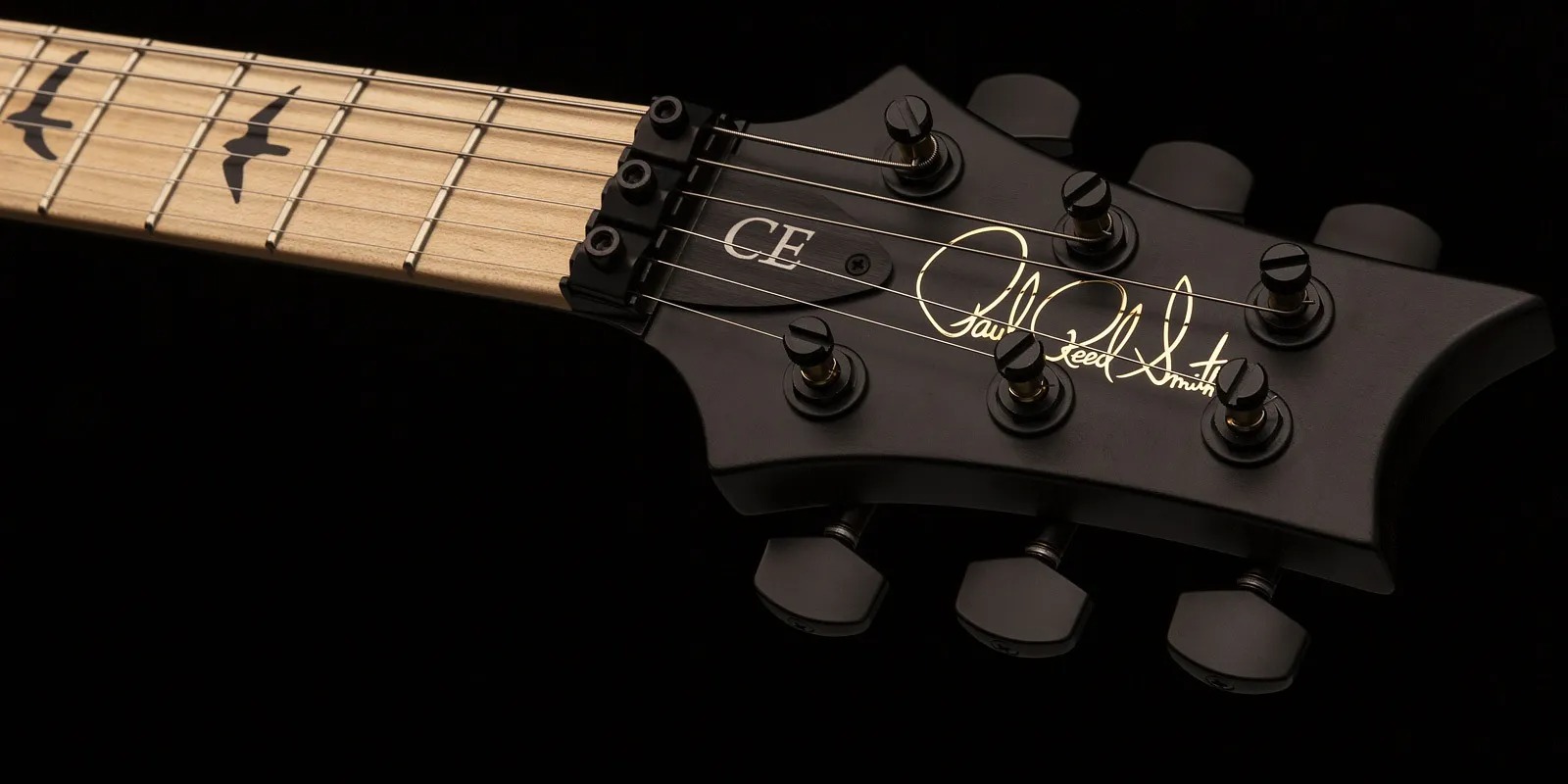 Prs Dustie Waring Dw Ce 24 Floyd Bolt-on Usa Signature 2h Fr Mn - Gray Black - Guitarra eléctrica de doble corte - Variation 5