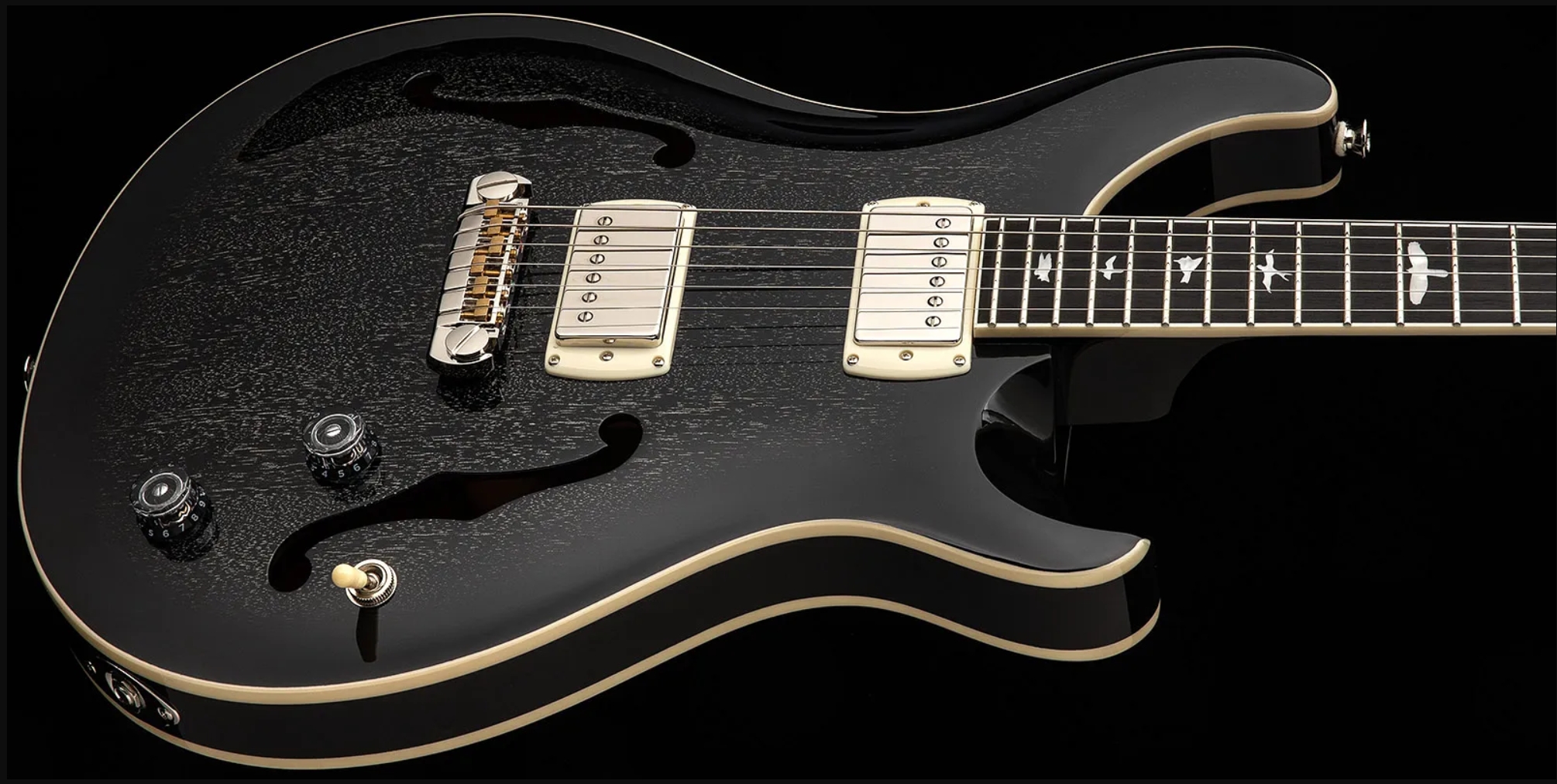 Prs Hollowbody Standard Se 2h Ht Eb - Dog Hair Smokeburst - Guitarra eléctrica semi caja - Variation 3