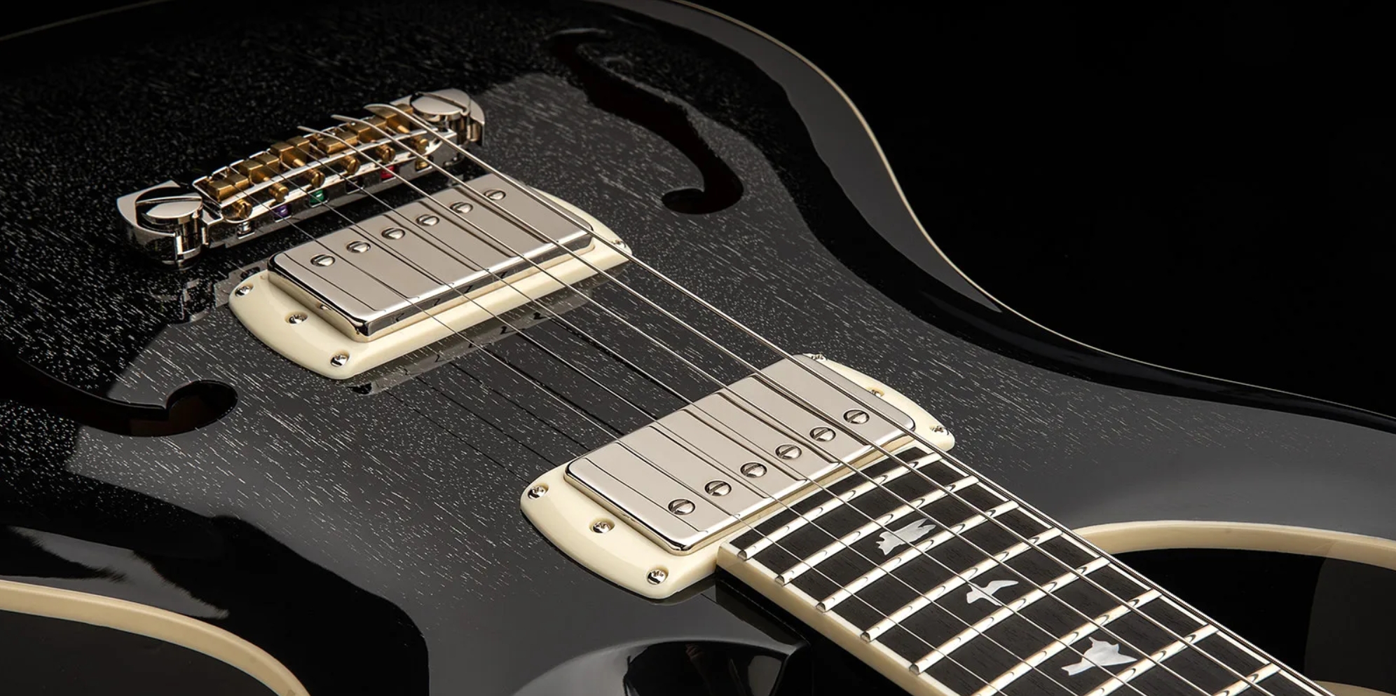 Prs Hollowbody Standard Se 2h Ht Eb - Dog Hair Smokeburst - Guitarra eléctrica semi caja - Variation 4