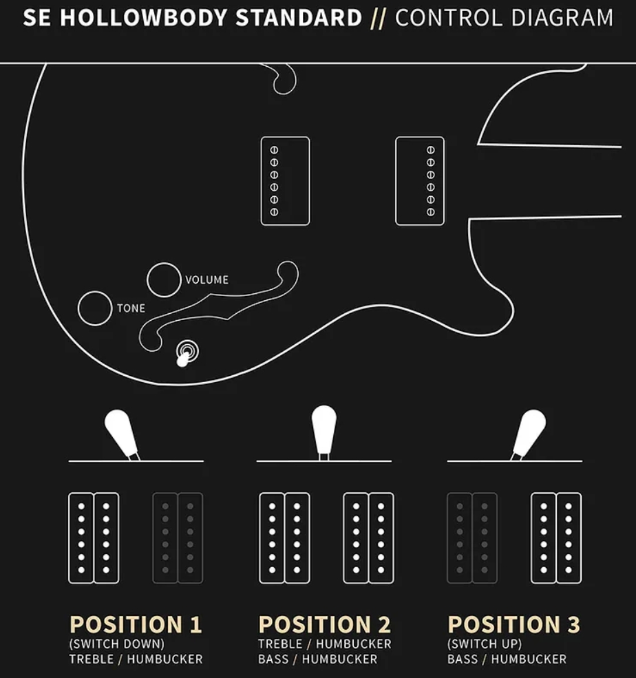 Prs Hollowbody Standard Se 2h Ht Eb - Dog Hair Smokeburst - Guitarra eléctrica semi caja - Variation 6