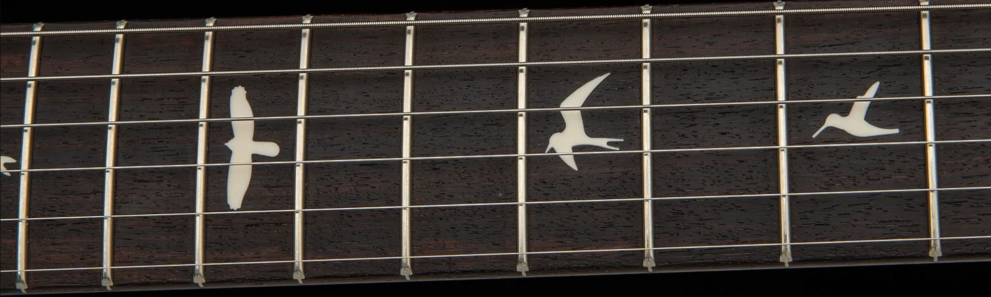 Prs John Mayer Silver Sky Bolt-on Usa Ltd Trem 3s Rw - Wild Blue Satin - Guitarra eléctrica de doble corte - Variation 5