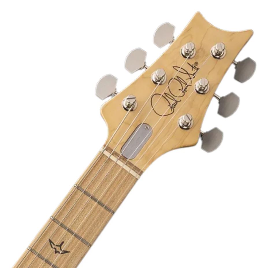 Prs John Mayer Silver Sky Usa Signature 3s Trem Mn - Golden Mesa - Guitarra eléctrica con forma de str. - Variation 3