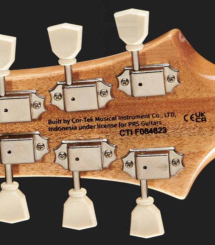 Prs Mccarty 594 Se 2h Ht Rw - Charcoal - Guitarra eléctrica de doble corte - Variation 7
