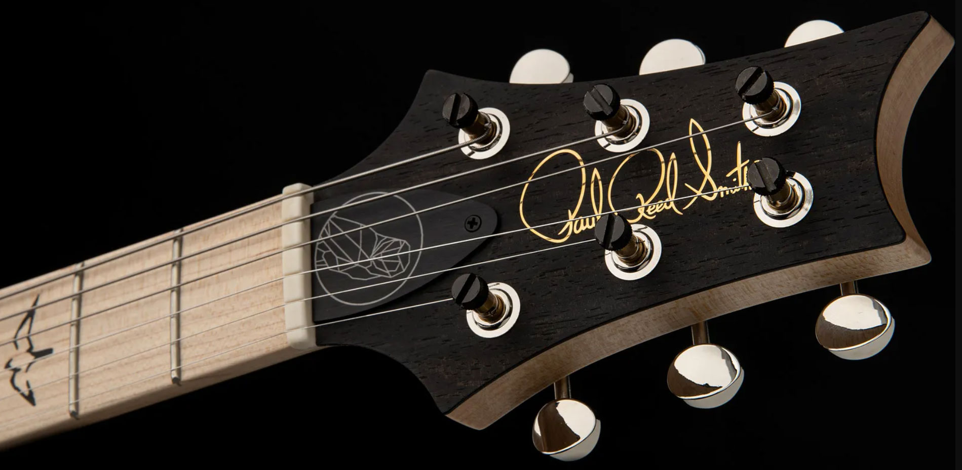 Prs Myles Kennedy Bolt-on Usa Signature 2mh Ht Mn - Hunter Green - Guitarra eléctrica de autor - Variation 7