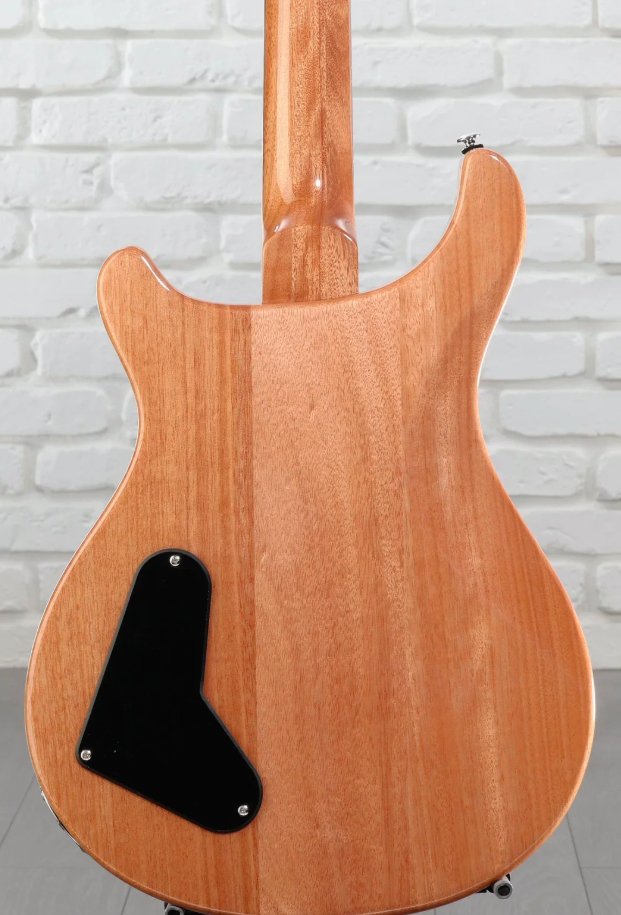 Prs Paul's Guitar Se (wing Tuners) 2h Ht Rw - Slate Blue - Guitarra eléctrica de doble corte - Variation 5