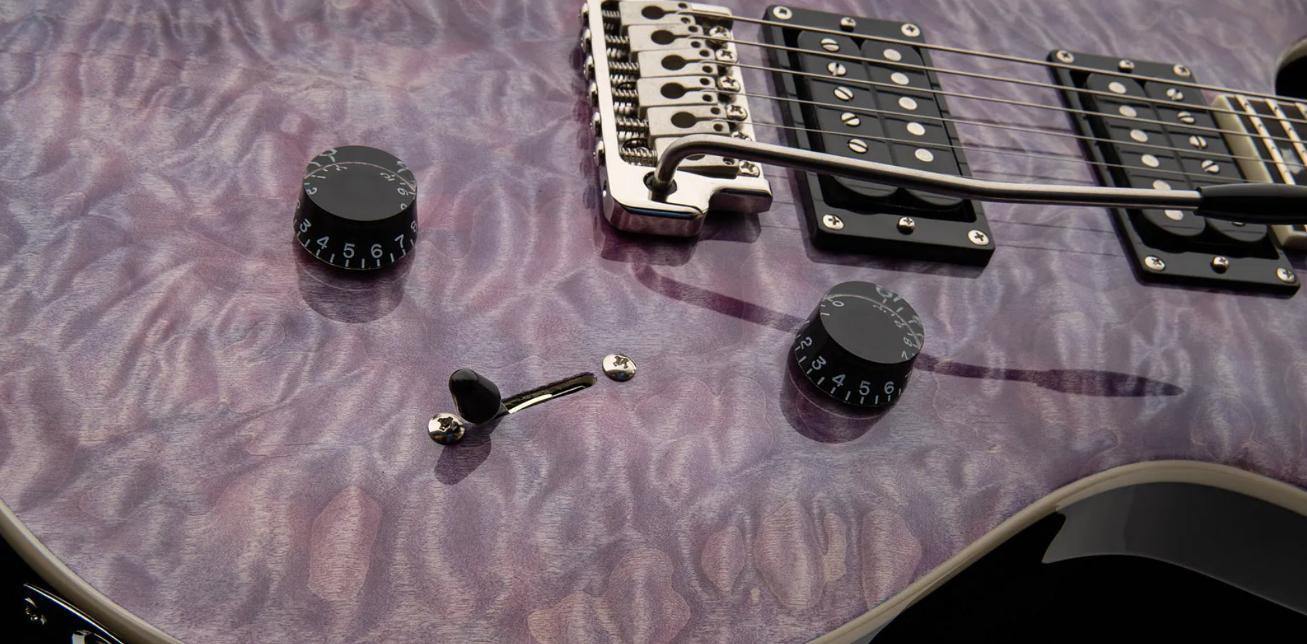 Prs Se Custom 24 Quilt 2h Trem Eb - Violet - Guitarra eléctrica de doble corte - Variation 4