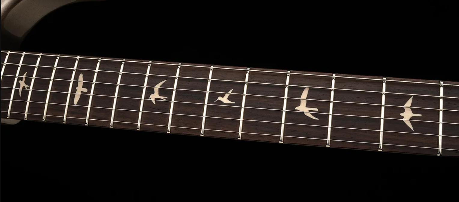 Prs Silver Sky Defender Se Ltd Signature 3s Trem Rw - Woolstone Green - Guitarra eléctrica con forma de str. - Variation 3
