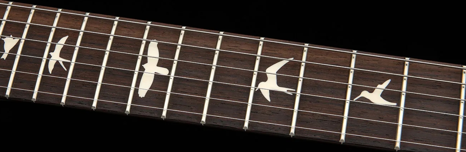 Prs Standard 22 S2 Usa 2h Trem Rw - Metallic Midnight - Guitarra eléctrica de doble corte - Variation 3