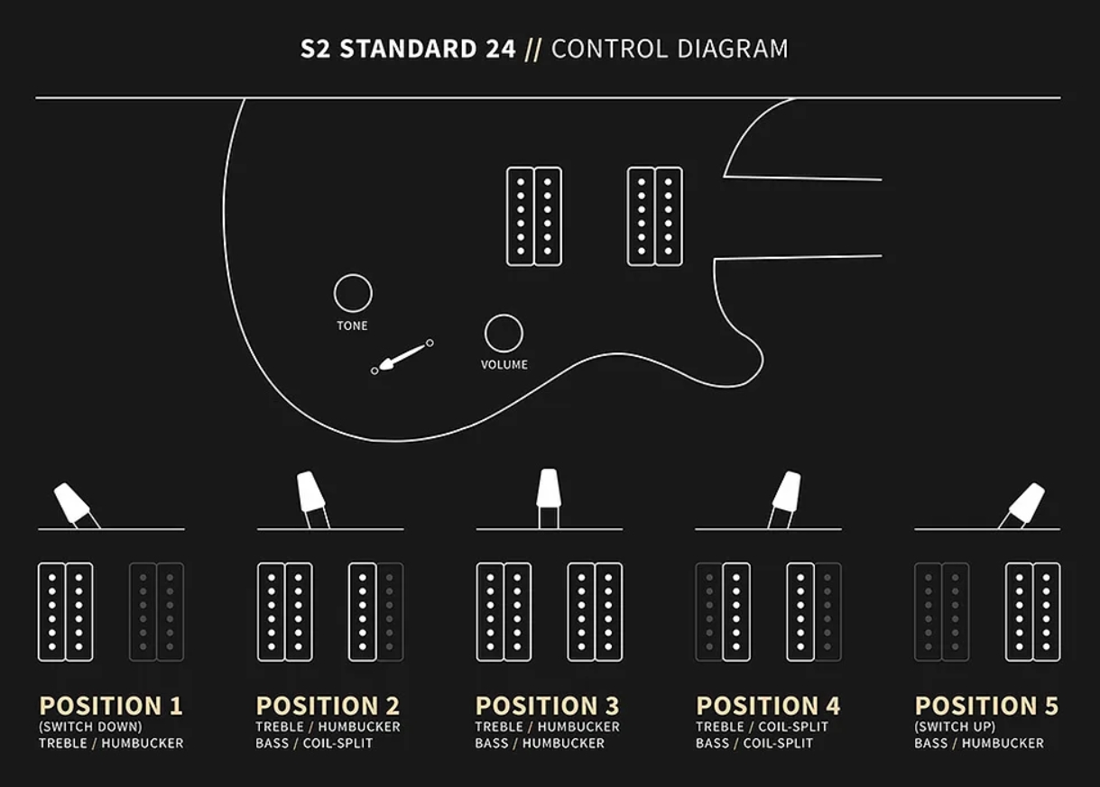 Prs Standard 24 S2 Usa 2h Trem Rw - Platinum Metallic - Guitarra eléctrica de doble corte - Variation 4