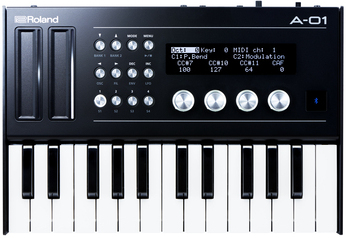Roland Boutique A-01k - Expander - Main picture