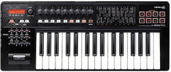 Teclado maestro Roland A-300PRO-R