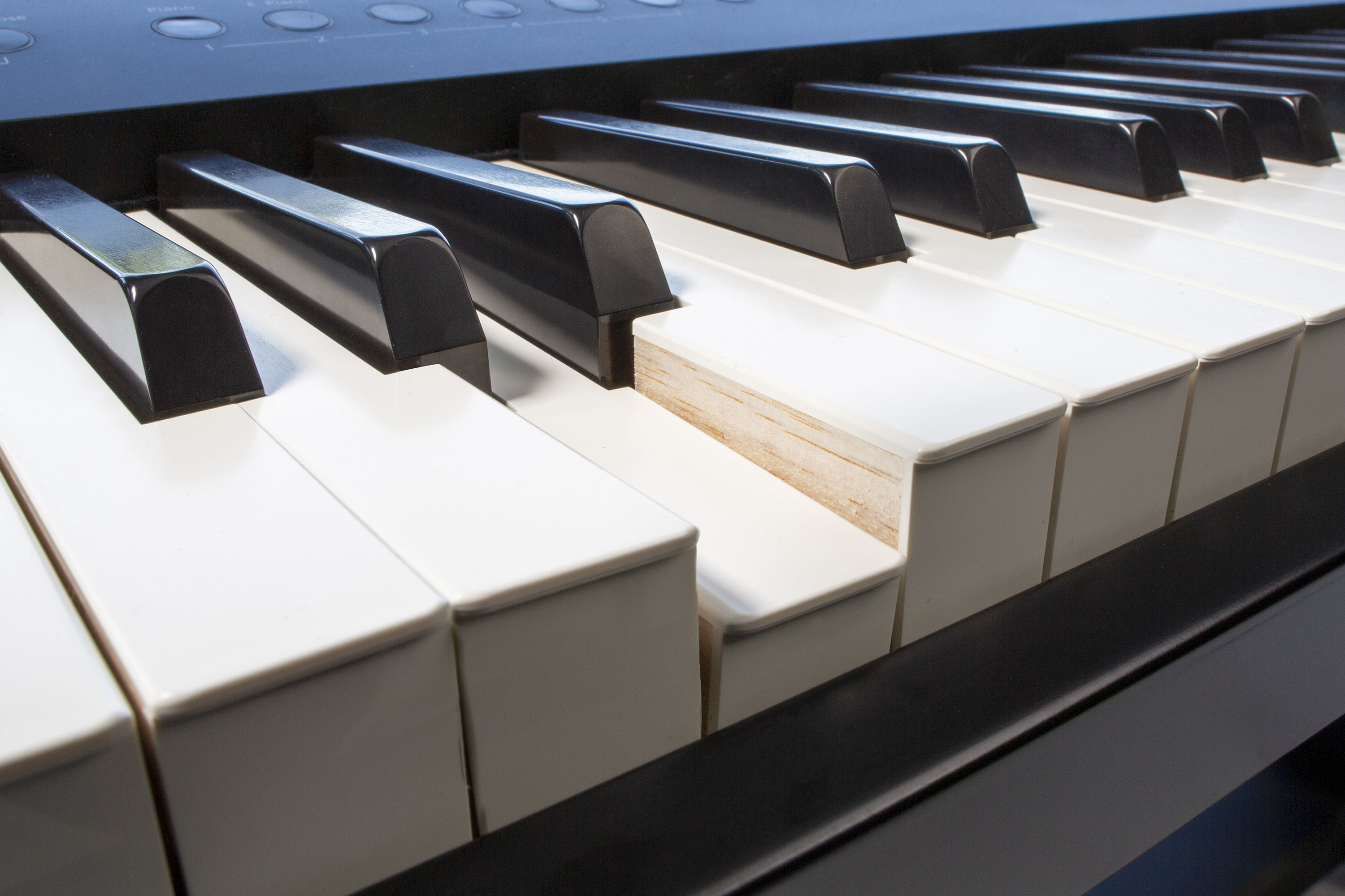 Roland Fp-90x Bk - Piano digital portatil - Variation 8