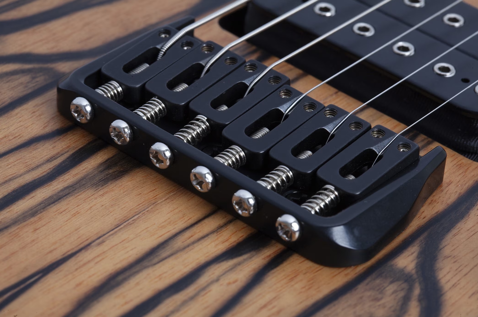 Schecter C1 Pale Moon 2h Ht Ric - Natural Satin Black Burst - Guitarra eléctrica con forma de str. - Variation 4