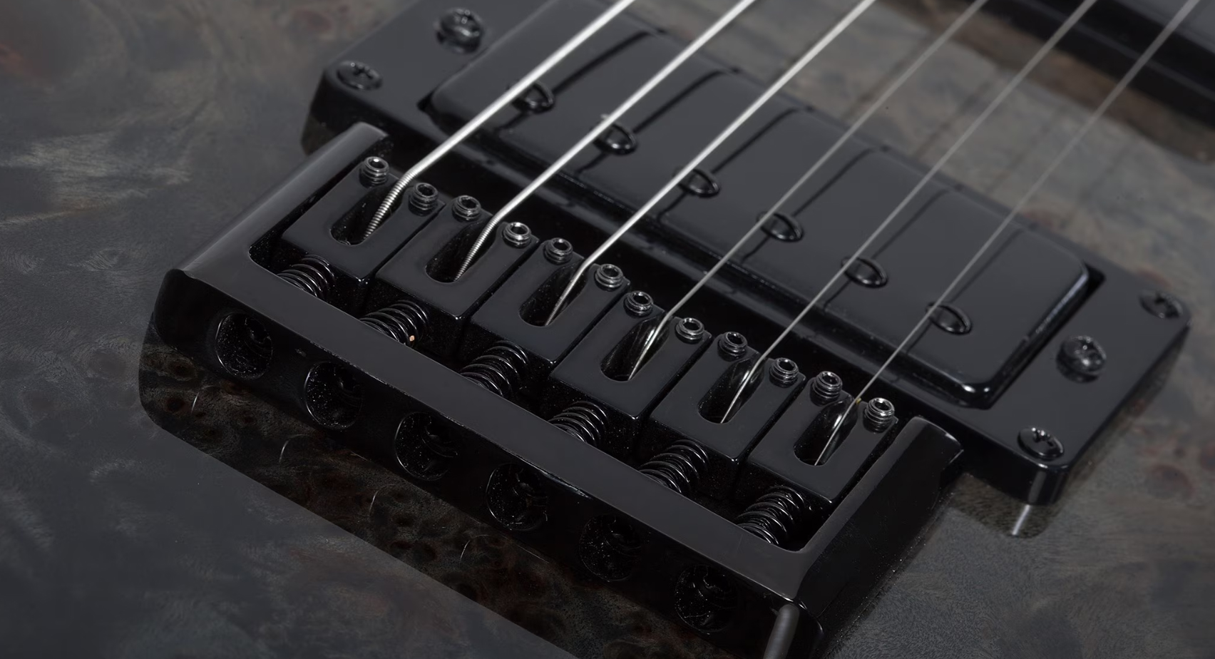 Schecter C1 Standard 2h Ht Rw - Black Fade Burst Burl - Guitarra eléctrica con forma de str. - Variation 3