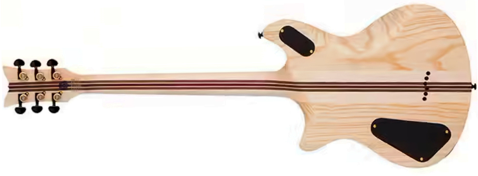 Schecter Tempest 50th Ann. 2h Ht Eb - 50th Gold Burst - Guitarra electrica metalica - Variation 1