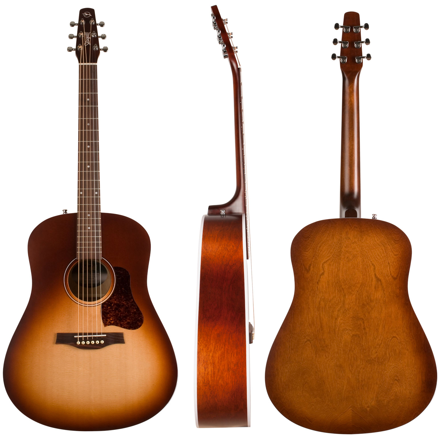 Seagull Entourage Dreadnought Epicea Merisier - Autumn Burst - Guitarra acústica & electro - Variation 1