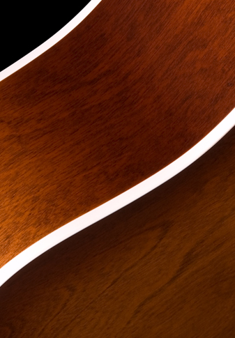 Seagull Entourage Dreadnought Epicea Merisier +housse - Autumn Burst - Guitarra folk - Variation 5
