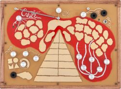 Enner Red