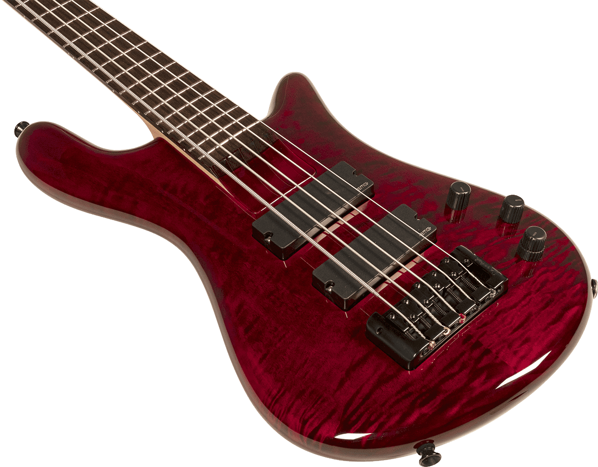 Spector Bantam 5c Diapason Court Active Emg Rw - Black Cherry - Bajo eléctrico de cuerpo sólido - Variation 3