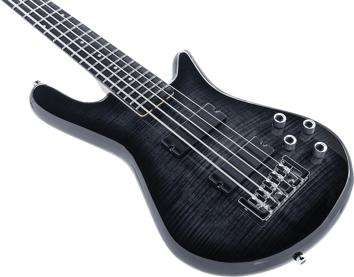 Spector Legend Serie Standard 5 Hh Eb - Black Stain - Bajo eléctrico de cuerpo sólido - Variation 2