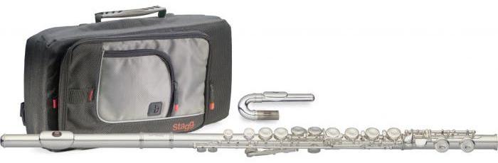 Flauta travesera de estudio Stagg WSFL 221S Ut