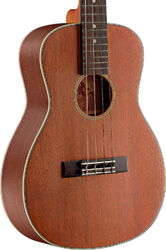 UB70-S Baryton - naturel mat