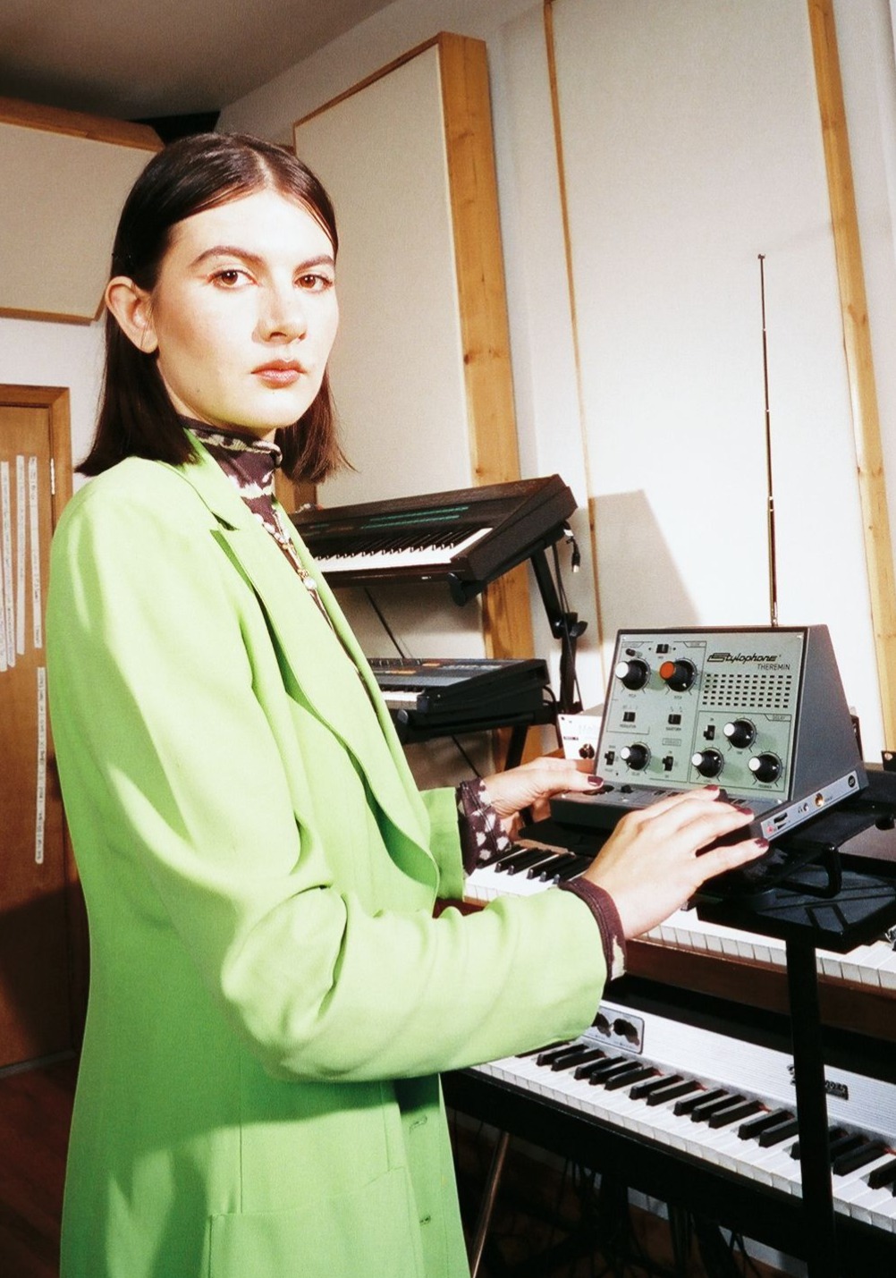 Stylophone Theremin - Sintetizador - Variation 9