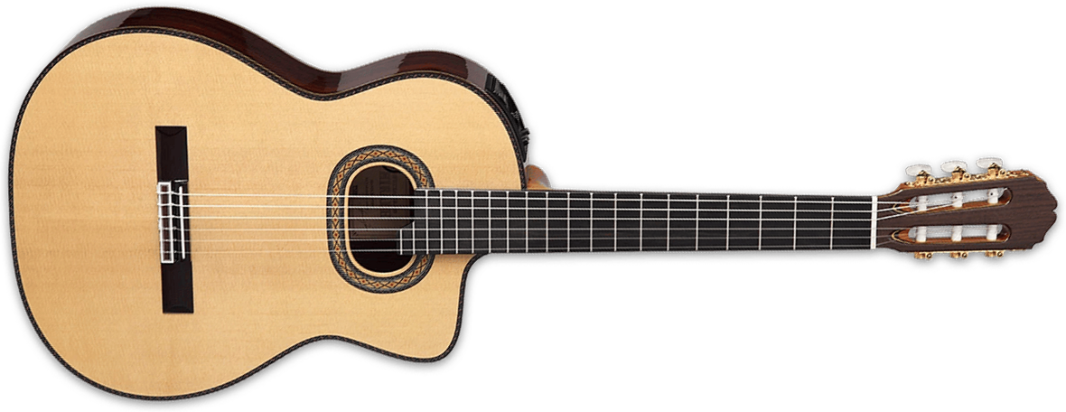 Takamine Dh90 Hirade Jap 4/4 Epicea Palissandre Eb - Natural - Guitarra clásica 4/4 - Main picture