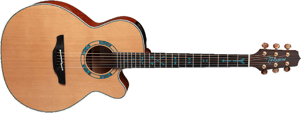 Takamine Nex Santa Fe 30th Anniversary Cw Cedre Chene Eb - Natural - Guitarra electro acustica - Main picture