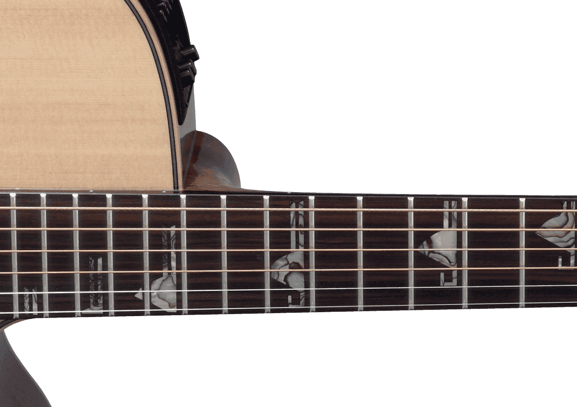 Takamine Dsf48c Nex Jap Epicea Palissandre Eb Ctf2n - Natural - Guitarra folk - Variation 2