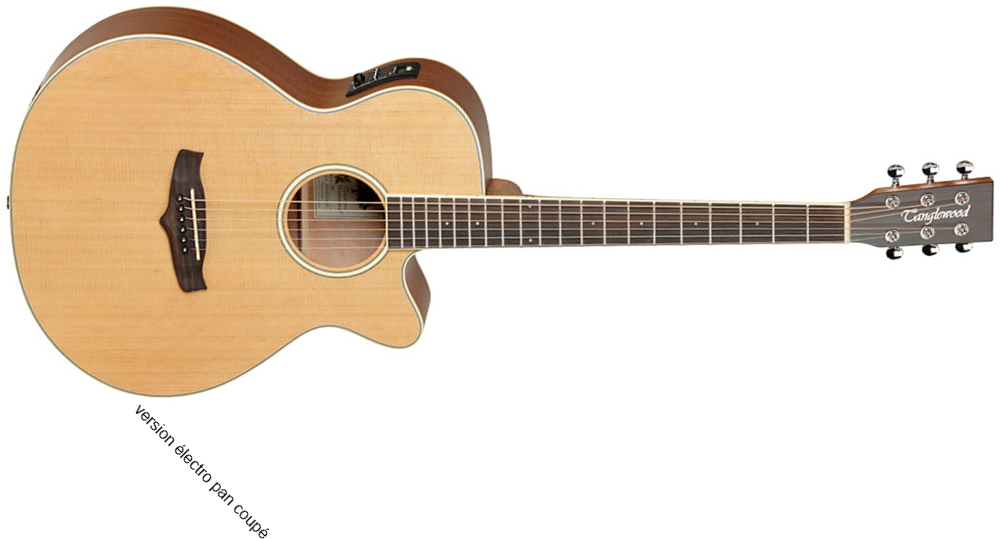 Tanglewood Tw9 Winterleaf Super Folk Auditorium Cedre Acajou Tec - Natural Satin - Guitarra acústica & electro - Main picture