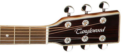 Tanglewood Tw28 Csn Evolution Dreadnought Cedre Acajou - Natural - Guitarra acústica & electro - Variation 3