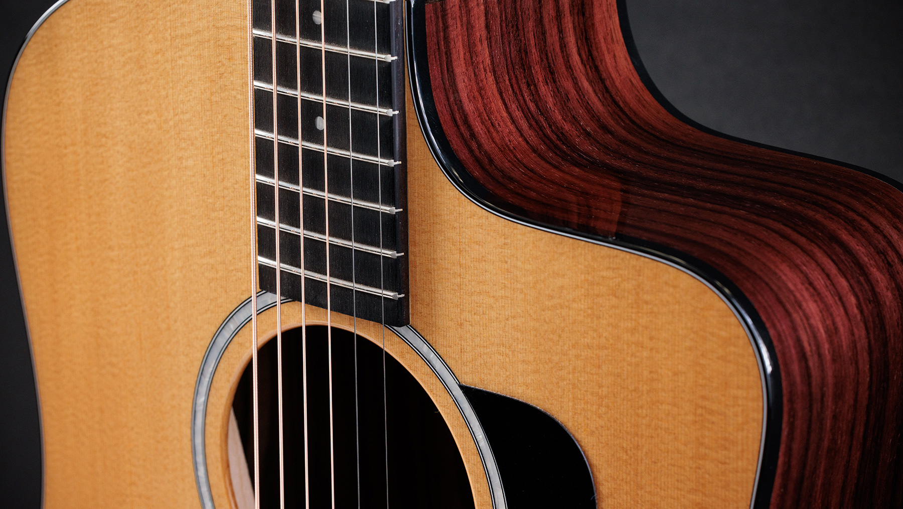 Taylor 210ce Plus 2024 Dreadnought Cw Epicea Palissandre Eb Es2 - Natural - Guitarra folk - Variation 2