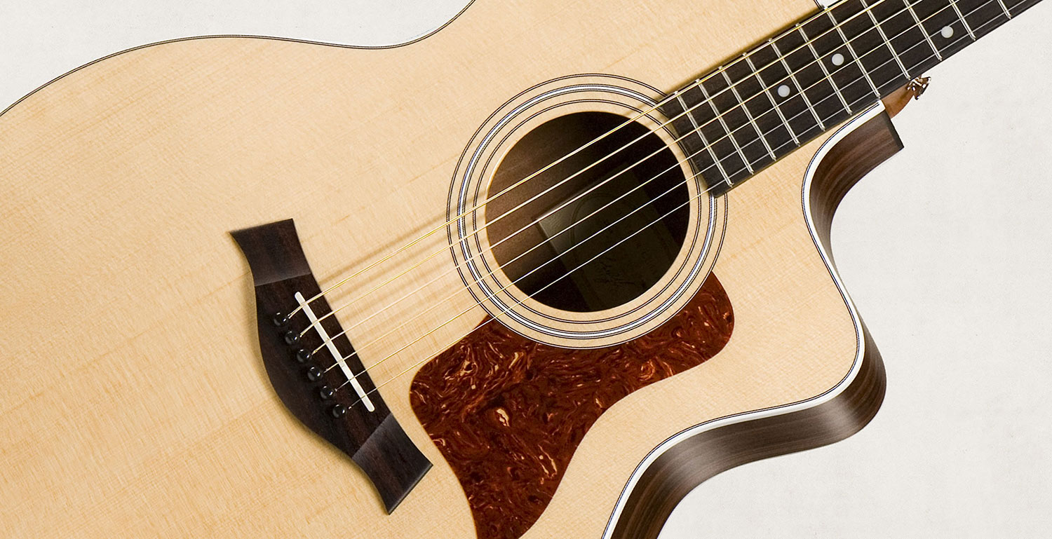 Taylor 214ce Grand Auditorium Natural Gloss Top - Guitarra acústica & electro - Variation 2