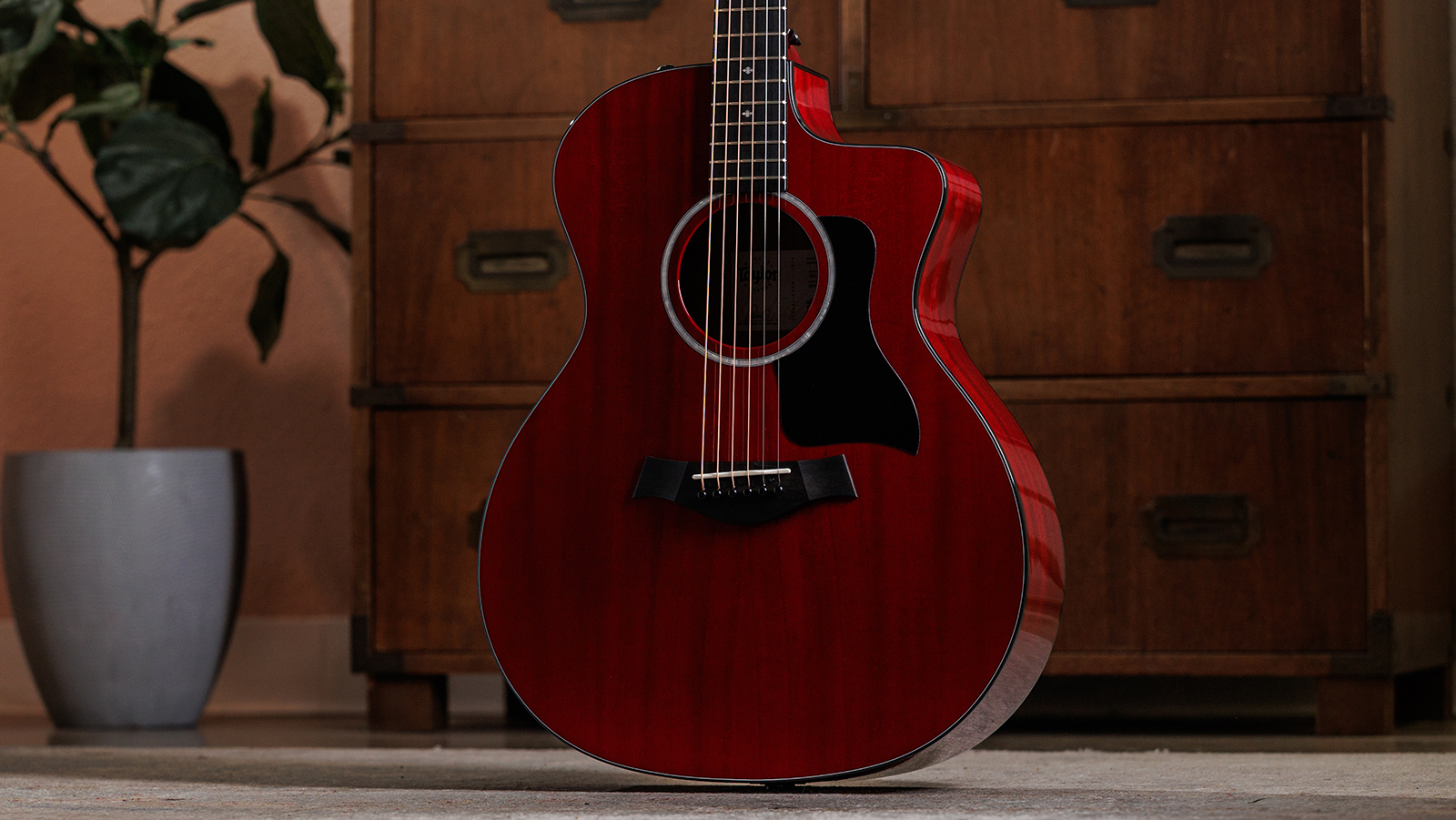 Taylor 224ce Plus Special Edition Grand Auditorium Cw Acajou Sapele Eb Es2 - Trans Red - Guitarra folk - Variation 2