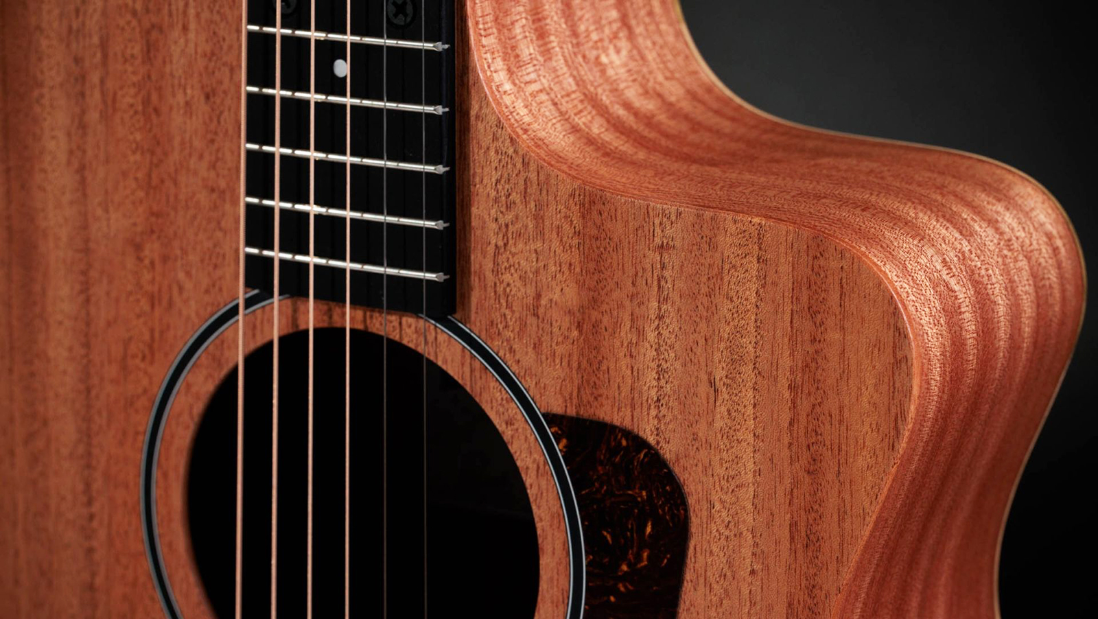 Taylor 24ce Grand Auditorium Cw Tout Sapele Eb - Natural Matte - Guitarra folk - Variation 3