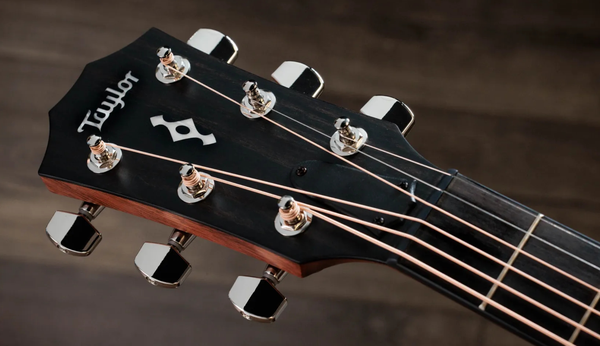 Taylor 412ce Next Gen. Grand Concert Cw Shsc Epicea Palissandre Eb Claria - Natural - Guitarra folk - Variation 5