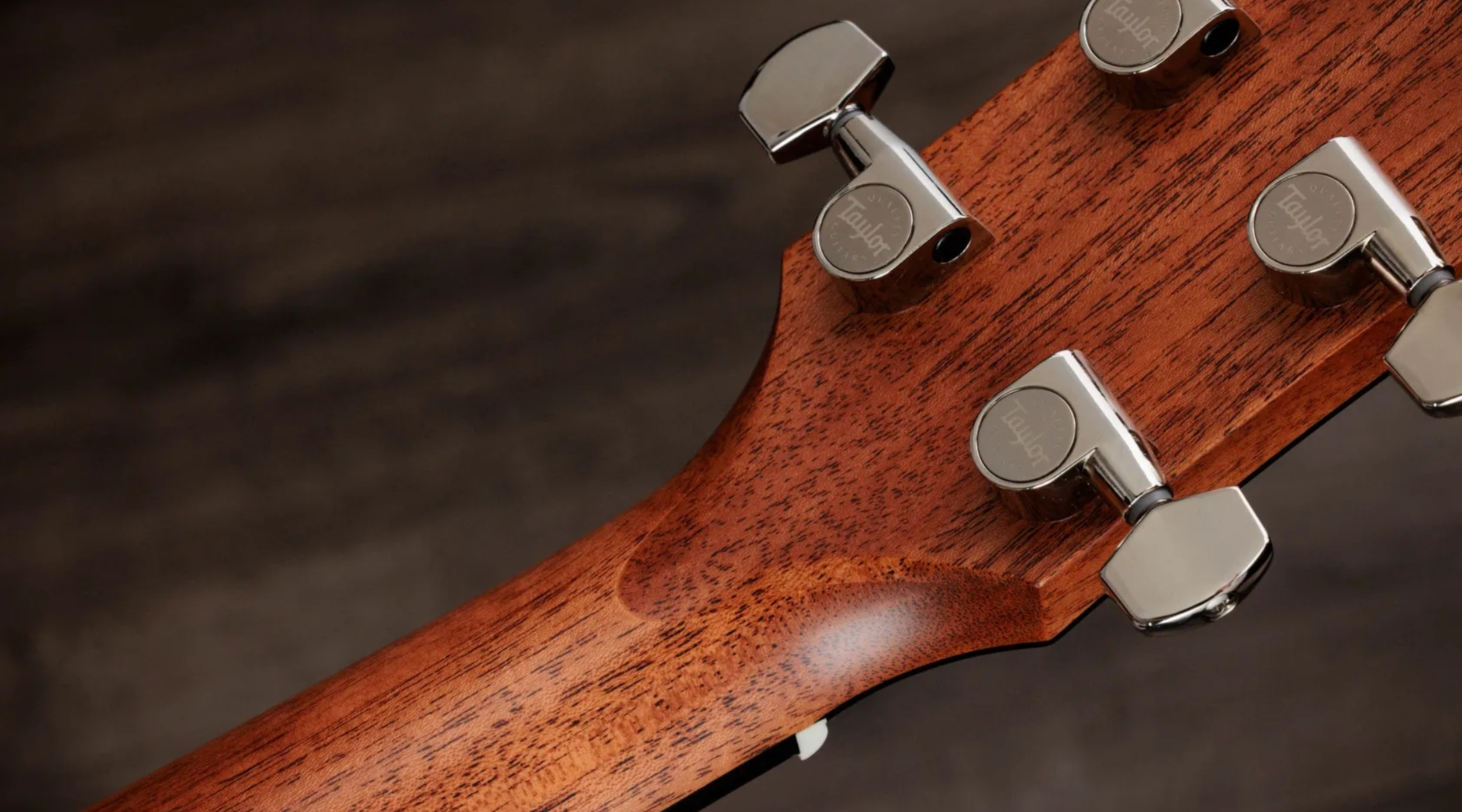 Taylor 510e Gold Label Dreadnought Epicea Acajou Eb - Natural - Guitarra folk - Variation 9