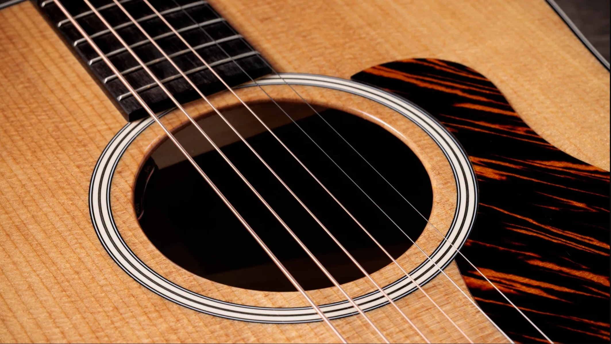 Taylor 510e Gold Label Dreadnought Epicea Acajou Eb - Natural - Guitarra folk - Variation 2