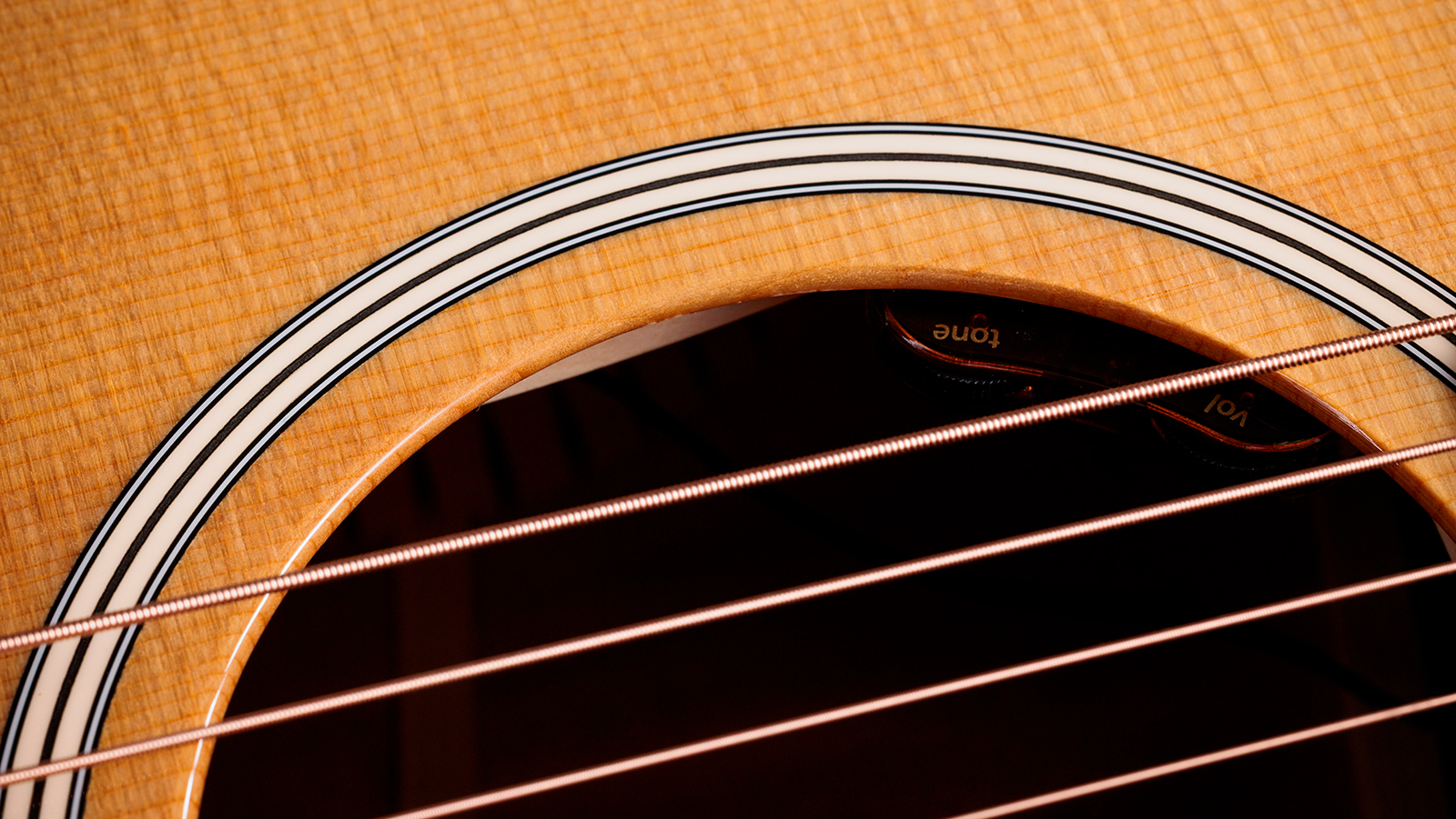 Taylor 512e Gold Label Grand Concert Cw Epicea Acajou Eb Lr Baggs - Natural - Guitarra folk - Variation 5